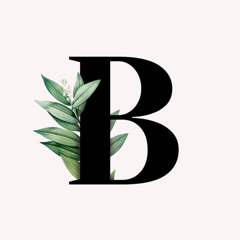 Botanical capital letter B illustration | premium image by rawpixel.com / Aum / Donlaya / Kappy Kappy / manotang B Design Letter, Botanical Capital Letter, B Letter Design, B Letter Images, Alfabet Font, B Letter Logo, B Letter, Lettering Alphabet Fonts, Design Seeds