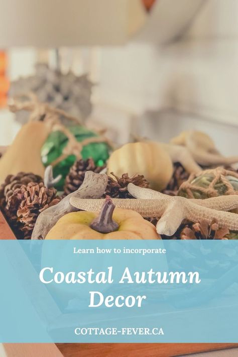 Using items that can be foraged on the beach, in your garden and in the forest, learn how to incorporate them into beautiful Coastal Autumn Decor throughout your home. Coastal Fall Decorations, Coastal Fall Decor Ideas Living Room, Fall Beach House Decor, Coastal Fall Porch Decor, Coastal Fall Home Decor, Beachy Fall Decor Ideas, Florida Fall Decor, Coastal Autumn Decor, Fall Beach Decor