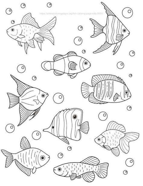 Fish Coloring Sheet coloring pages #adultcoloringpages #coloringpagetime Ocean Coloring Pages, Fish Coloring, Sea Drawing, Space Coloring Pages, Drawn Fish, Disney Princess Coloring Pages, Fish Coloring Page, Farm Animal Coloring Pages, Kids Animals