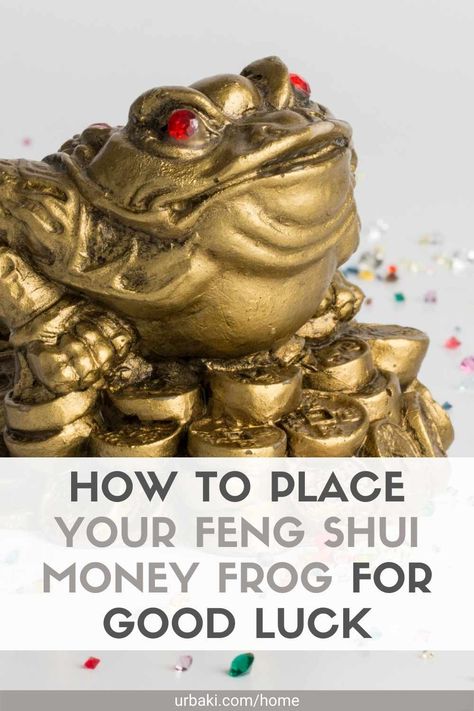 How to Place Your Feng Shui Money Frog for Good Luck Feng Shui Numbers, Feng Shui Wallet, Feng Shui Frog, Feng Shui Money Corner, Feng Shui Wealth Corner, Feng Shui Money Frog, Feng Shui Elephant, Money Corner, Feng Shui Bagua Map