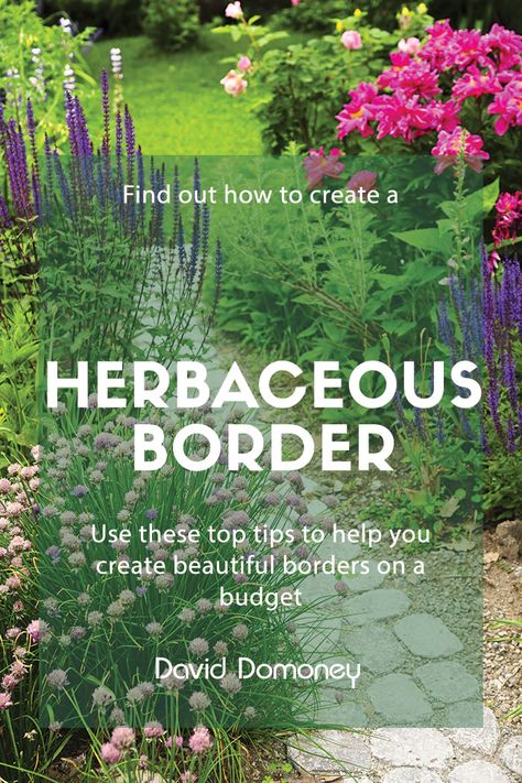 curved-herbaceous-border-with-evergreens-and-perennials Garden Border Planting Plan, Plant Borders Ideas, Perennial Borders, Front Garden Borders, Herbaceous Border Planting Plan, Herbatious Border, Boarder Garden, Garden Border Design, Perennial Border Design