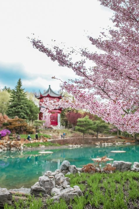 10 Most Instagrammable Spots in Montreal - nataliastyle Montreal Botanical Garden, Sleek Bar, Montreal Travel, The Matcha, Lunch Hour, Canada Road Trip, Gorgeous Scenery, Chinese Garden, Beautiful Park