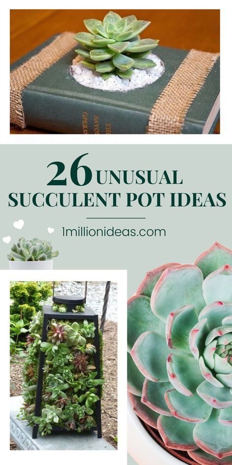 Finding unique ideas to plant your succulents, check out our list today to get your inspiration. Of course, you can buy all kinds of fancy plant pots in any shop, but if you love DIY projects, you always come up with creative ideas, these ideas today are for you. And here are 26 Unusual Succulent Pot Ideas that you will be interested to try. Unique Succulent Planters, Suculents Ideas Decoration Pots & Planters, Unique Succulent Arrangements, Unique Plant Containers, Succulents In Pots Ideas, Succulents Planter Ideas, Creative Succulent Planters, Unusual Decorating Ideas, Unique Pots For Plants Indoor