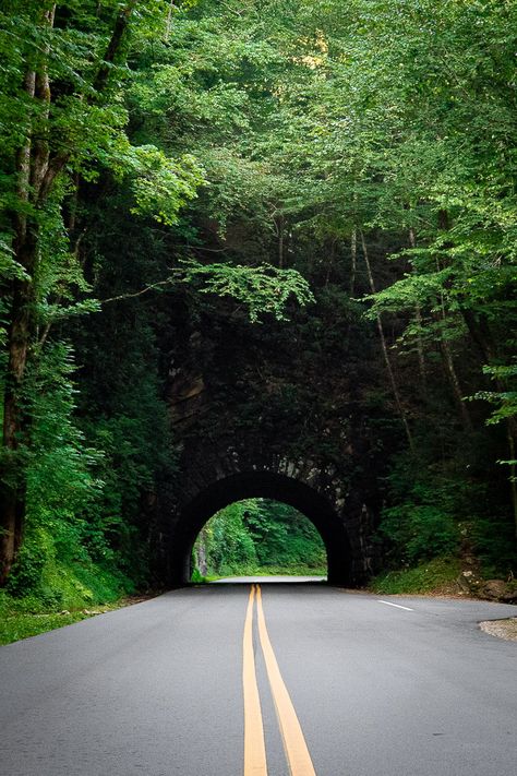 Great Smoky Mountains National Park will impress you with its rugged beauty and Appalachian charm. Even though it's America's busiest Park, there are plenty of quiet hikes and peaceful waterfalls to discover. Read all about the best things to do in Great Smoky Mountains National Park with our complete guide. It's got everything you need to plan a great trip to the Smokies! | #GreatSmokyMountains #NPS#familytravel #NationalParks #SmokyMountains Great Smoky Mountains National Park Aesthetic, National Parks Tennessee, The Smokey Mountains, Great Smoky Mountains Aesthetic, Smokie Mountains, Great Smoky Mountains National Park One Day, Smoky Mountain National Park Pictures, Smoky Mountains National Park, Smoky Mountains Aesthetic