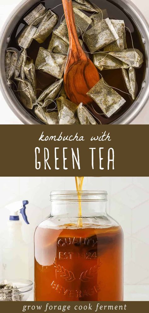 Green tea kombucha has a light, fizzy, refreshing taste with a lovely mild flavor. It's easy to make and is full of probiotic goodness! Homemade Herbal Tea, Green Tea Kombucha, Herbal Tea Recipes, Jun Kombucha, Kombucha Starter, Kombucha Flavors, Kombucha Scoby, Strawberry Water, Kombucha Recipe