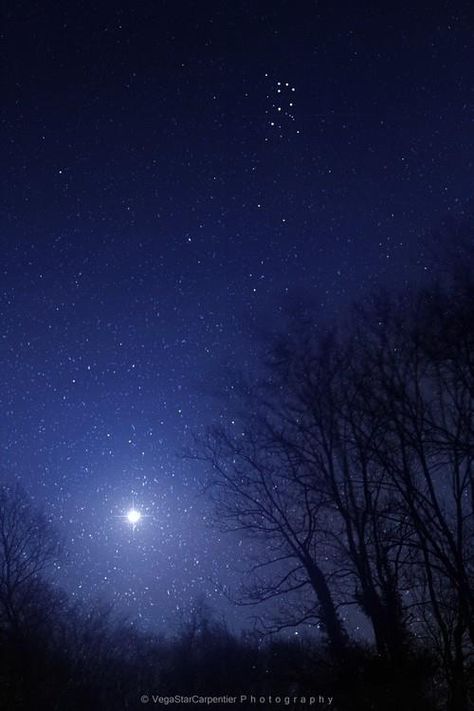 Jupiter and the Pleiades 7 Sisters, The Seven Sisters, Night Scenes, The Pleiades, Seven Sisters, Starry Nights, Moon Pictures, Beautiful Moon, Look At The Stars