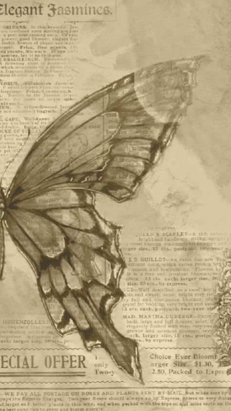 #wallpaper#newspaper#butterfly#cute Butterfly On Newspaper, Vintage Newspaper Wallpaper, Book Pages Wallpaper, Butterfly Newspaper, Newspaper Butterfly, Cute Newspaper, Art Igcse, Newspaper Wallpaper, Newspaper Background