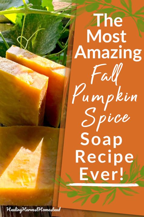 Pumpkin Pie Soap Recipe, Pumpkin Melt And Pour Soap, Pumpkin Soap Recipe Cold Process, Fall Cold Process Soap Recipes, Pumpkin Spice Soap Recipe, Fall Soap Recipes Cold Process, Thanksgiving Soap Ideas, Fall Melt And Pour Soap Ideas, Fall Soap Ideas