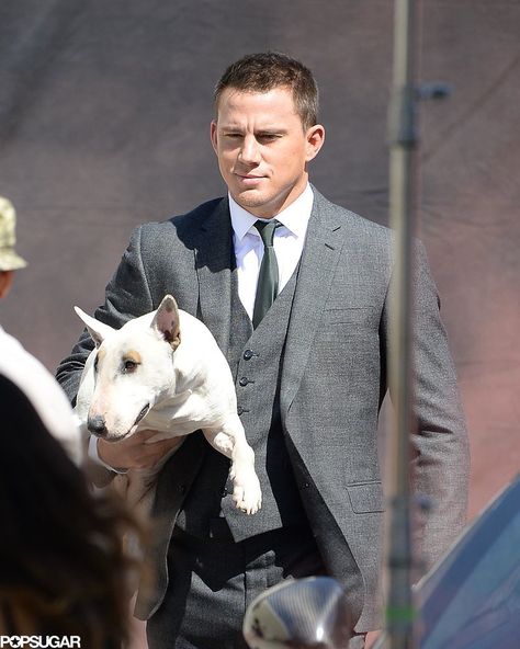 Channing Tatum + dog = double the cuteness!! Staffy Bull Terrier, Bull Terrier Funny, Bull Terrier Art, Mini Bull Terriers, Celebrity Dogs, Celebrity Pics, English Bull Terriers, Terrier Puppy, Bull Terriers