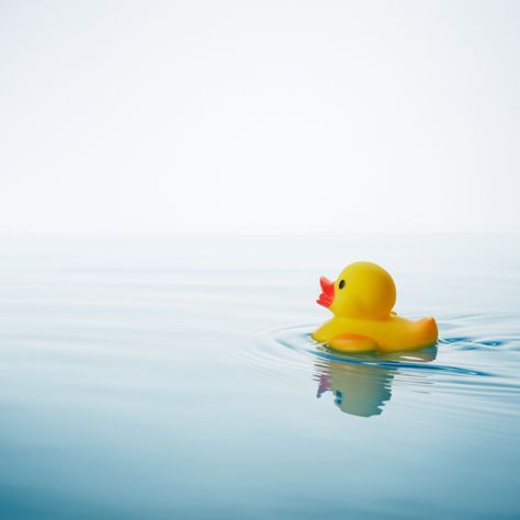 Someone has stolen all the soap from my bath... I think it was my robber duck. Happy Friday everyone! Bath Duck, Happy Friday Everyone, Rubber Duck, Happy Friday, Phone Wallpaper, Soap, Portfolio, Bath