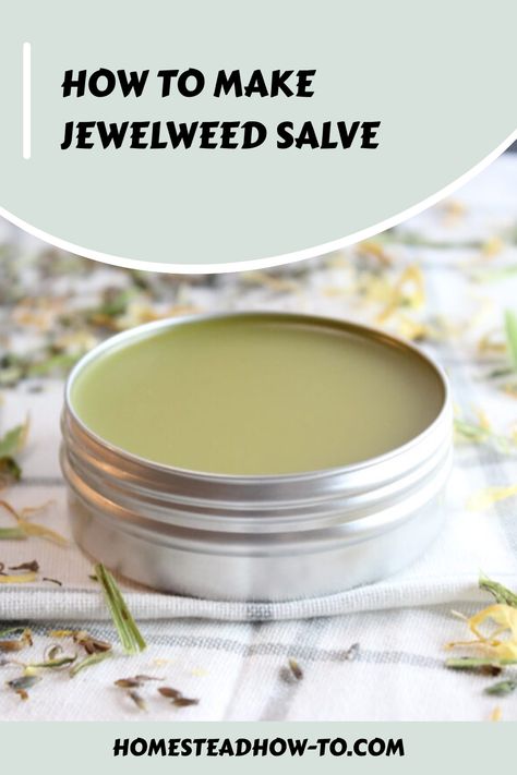 Discover a step-by-step jewelweed salve recipe to soothe skin irritations. Calm itching and promote healing with this homemade natural remedy. Jewelweed Salve Recipe, Jewelweed Salve, Salve Recipes, Homemade Remedies, Insect Bites, Food Preservation, Natural Remedy, Natural Scents, Vitamin E Oil