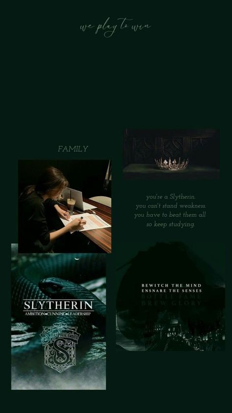 Slytherin Pride Wallpaper, Slytherin Princess Wallpaper, Slytherin Study Aesthetic, Dark Slytherin Aesthetic Wallpaper, Slytherin Core Aesthetic, Slytherin Motivation, Slytherin Princess Aesthetic, Slytherin House Aesthetic, Dark Slytherin Aesthetic