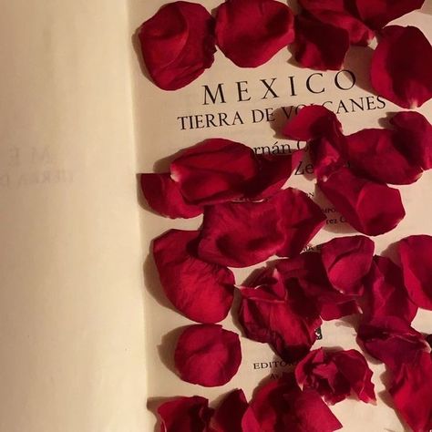 Mexico Red Aesthetic, Red Mexico Aesthetic, Mexicore Aesthetic, Indie Latina Aesthetic, Red Spanish Aesthetic, Mexican Streets Aesthetic, Latin Culture Aesthetic, Mexican Latina Aesthetic, Mexican Faerie Aesthetic