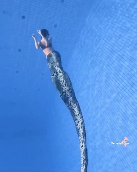 Mermaid Lucia ™ on Instagram: “Diving snake tail is designed by the director of that snake movie, have the innovation patent, using a new ultra-light material, buoyant…” Snake Mermaid, Snake Tail, Fantasy Mermaids, Mermaid Swimming, The Director, Mermaid Tail, Diving, Mermaid, Swimming