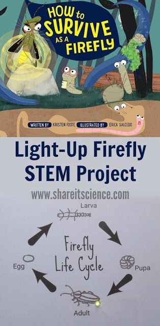 Firefly Activities For Kids, K4 Crafts, Cycle For Kids, Space Activities For Kids, Paper Circuits, Science Stem, Math Activities For Kids, Stem Activity, Space Activities