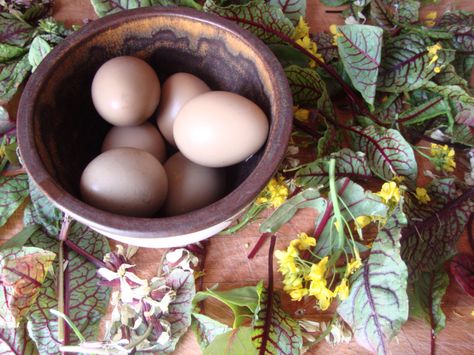 Flower and Pheasant Egg Salad Egg Salads, Pheasant Eggs, Big Sis, Egg Salad, Pheasant, See Me, My Sister, Puppets, York City