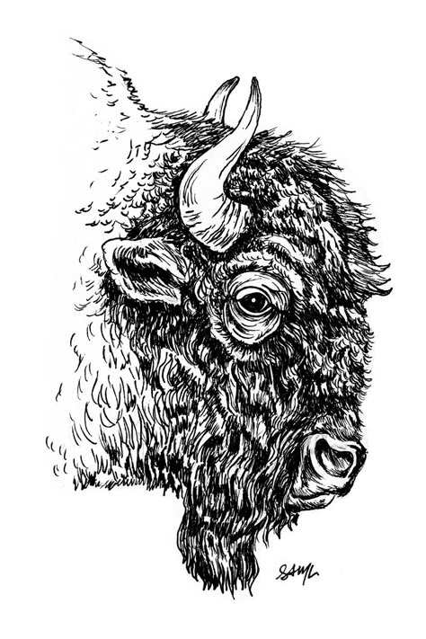 Buffalo Tattoo, Bison Tattoo, Buffalo Painting, Black Ink Art, Bison Art, Eagle Pictures, Cabin Art, Drawing Examples, Laser Art