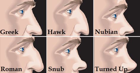 Nose Shapes Hooked Nose Reference, Arched Nose Reference, Different Nose Shapes Reference, Hook Nose Drawing, Hooked Nose Drawing Reference, How To Draw Hooked Nose, Broken Nose Reference, Different Nose Types, Nose Styles Drawing