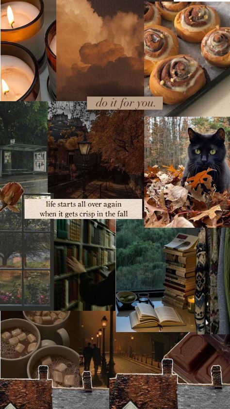 November Vibes Aesthetic, November Vibes Wallpaper, Dark Autumn Wallpaper, Dark Fall Aesthetic Wallpaper, Autumn Vibes Wallpaper, November Aesthetic Wallpaper, Dark Fall Wallpaper, Cozy Aesthetic Wallpaper, Cozy Fall Wallpaper