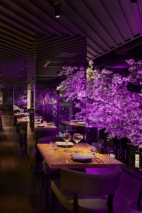 Fancy Restaurant Interior Design, Fancy Restaurant Aesthetic Night, Lounge Restaurant Design, Fancy Restaurant Interior, Purple Restaurant, Asian Bar, Restaurant Outside, Jeon Family, Fancy Bar