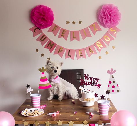 Fiesta Para Perros Ideas, Dogs Birthday Ideas, Dog Party Ideas, Dog Treat Packaging, Dog Party Decorations, Paw Birthday, Dog Poems, Halloween Moms, Birthday Dog