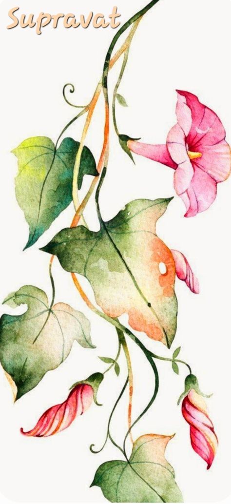 Vine Drawing, Botanical Flower Art, Watercolor Flowers Tutorial, Diy Watercolor Painting, Watercolor Projects, Watercolor Flower Art, 수채화 그림, Watercolor Flowers Paintings, Watercolor Art Lessons