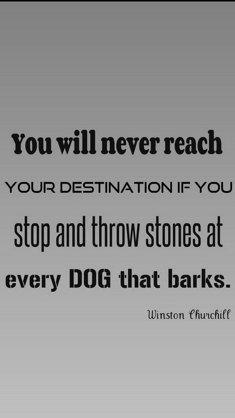 Don't let your destination be dog-gone! Every dog has it's day! Fitness Barbie, Trust Words, Psychology Notes, Christian Ministry, Cheer Me Up, Day Quotes, Reality Check, Quotes Life, Health Coach