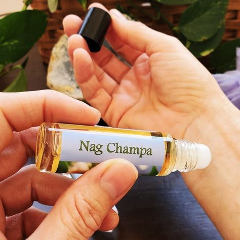 Nag Champa perfume oil, a delectable combination of flowers and wood fragrances. Champa flowers (plumeria) and sandalwood combine their powers to make this classic scent. Grab a bottle for yourself on our website! 🤩 #scentedoils #scentedoil #perfume #perfumeoil #perfumeoils #nagchampa Flowers Plumeria, River Village, Sandalwood Perfume, Indian Incense, Nag Champa Incense, Alcohol Free Fragrance, Sandalwood Fragrance, Floral Perfume, Scented Oil