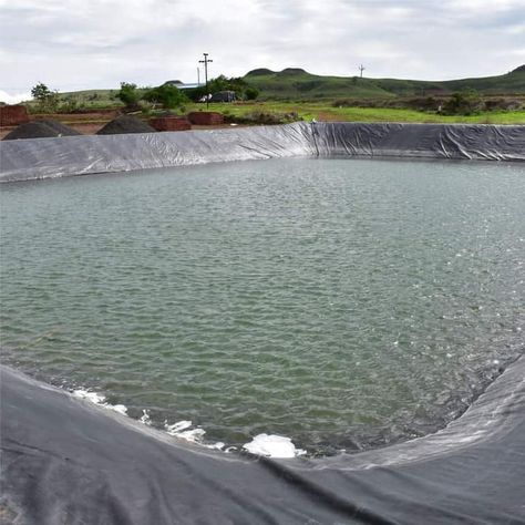 Fish Farming Ponds, Catfish Pond, Moringa Seeds, Farm Pond, Airplane Window View, Farming Business, Farm Layout, Airplane Window, Fish Farming