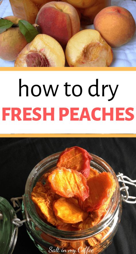 How to dry fresh peaches - Salt in my Coffee Can You Freeze Nectarines, How To Freeze Nectarines, Freezing Nectarines, Freezing Food Guide, Freeze Fruit, Freezing Peaches, Dehydrator Recipes Fruit, Freezing Veggies, Freezer Hacks