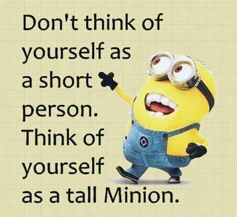 Short person Short Person Jokes, Short People Memes, Short People Quotes, Good Clean Jokes, Short People Problems, Irish Jokes, Love Quotes Inspirational, Short Person, Minion Jokes