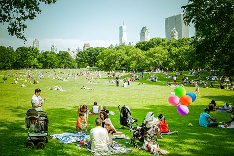 Upper East Side with Kids: Top 50 Things to Do, Eat, and See Central Park Picnic, Summer In Nyc, Family Park, Visit New York City, Family Friendly Hotels, Nyc Park, Picnic Spot, Visit New York, States In America