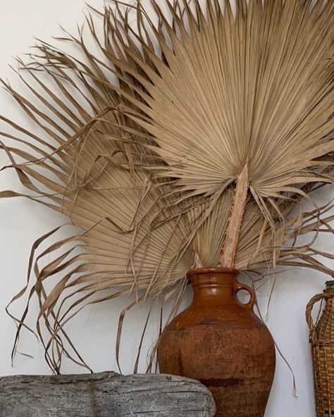 Dried Palm Leaf Wall Decor, Palm Fronds Decor, Dried Palm Arrangement, Dried Palm Leaf Decor, Palm Frond Decor, Palm Leaves Wall Decor, Palm Decor, Palm Leaf Decor, Dried Palm Leaves