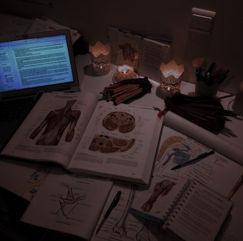 Dark Academia Study, Academic Aesthetic, Aesthetic Doctor, Nurse Aesthetic, Dream Jobs, Med School Motivation, Nursing Books, One Percent, Medicine Student