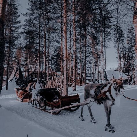 @epicles Christmas Reindeer Aesthetic, Christmas Aesthetic Widget Pictures, Christmas Aesthetic Widget, Reindeer Aesthetic, Christmas Widgets, Christmas Aesthetic Wallpaper, Christmas Scenery, Christmas Collage, Christmas Phone Wallpaper