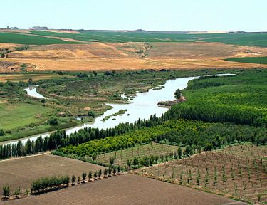 Tigris – Wikipedie Tigris River, Ancient Sumerian, Water Issues, Cradle Of Civilization, Archaeology News, Ancient Mesopotamia, Great River, Two Rivers, Water Management