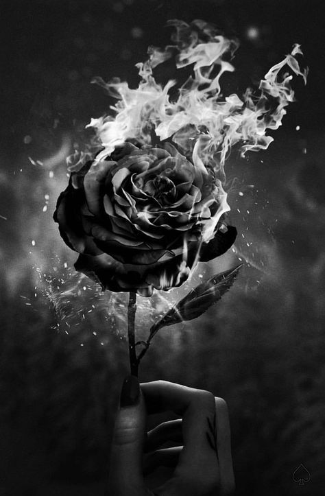 Realistic Eye Tattoo, Wilted Rose, Ivan Cornejo, Creepy Hand, Burning Rose, Dark Beauty Photography, Beautiful Scenery Photography, Black And White Girl, Rosé Aesthetic