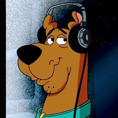 Scooby Doo Memes, Scooby Doo Aesthetic, Shaggy And Velma, Mystery Gang, Scooby Doo Pictures, Scooby Doo Mystery Inc, Scooby Doo Images, Shaggy And Scooby, Scooby Gang