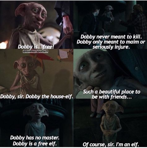 Dobby quotes Dobby Quotes, Elf Quotes, Free Dobby, Elf House, An Elf, Simple Art, Teen Wolf, Elf, Beautiful Places