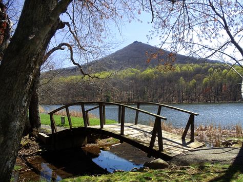 Sharp Top Mountain from The Peaks Of Otter, Virginia Peaks Of Otter Virginia, Old Dominion, Star City, Blue Ridge Parkway, Blue Ridge Mountains, Oh The Places Youll Go, Blue Ridge, Otters, Vacation Spots