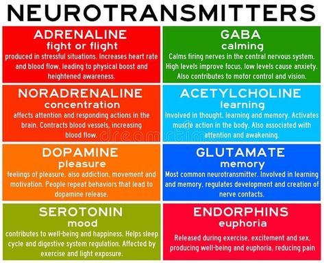 Neurotransmitters are chemicals that help in transmitting signals across a synapse. Different neurotransmitters are associated with different functions. Knowledge about these helps us to treat various... Brain Facts, Mental Health Nursing, Brain Anatomy, Psychiatric Nursing, Woo Woo, Nursing School Notes, Carpal Tunnel, Nursing Notes, Medical Knowledge