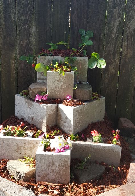 Fyi, cylinder blocks for flowers  and strawberry plants.. super Easy Total cost.. Well under $ 20.00..lol Cylinder Block Garden, Cinder Block Planter Wall, Cylinder Block Ideas, Cinder Block Garden Wall, Cinder Block Projects, Easy Garden Ideas Landscaping, Cement Bricks, Diy Ponds Backyard, Brick Garden Edging