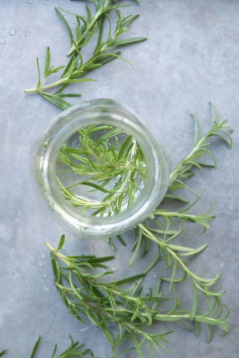 4 Ways to Preserve Fresh Rosemary | Kitchn Preserving Rosemary, Preserve Rosemary, Store Fresh Herbs, Drying Fresh Herbs, Budget Grocery, Roasted Lamb, Rosemary Herb, Preserving Herbs, Tattoo Plant