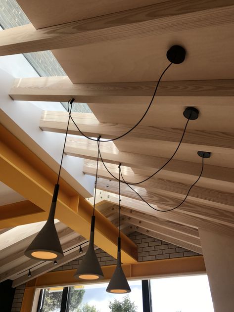 Open Ceiling Lighting Exposed Beams, Timber Ceiling Lighting, Exposed Timber Ceiling, Steel Beams Structure, Extension Roof, Exposed Trusses, Exposed Beams Ceiling, Steel Extension, Exposed Ceilings