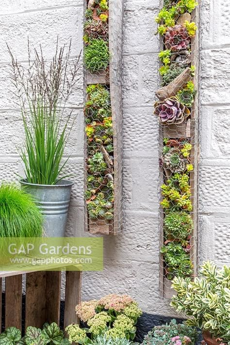 Succulent Wall Garden Diy, Living Wall Succulents, Succulent Pallet Wall, Outdoor Living Wall Diy Vertical Gardens, Pallet Succulent Planter, Succulent Wall Arrangements, Pallet Wall Planter, Pallet Planter Wall, Diy Succulent Wall