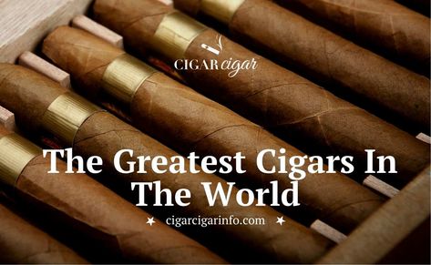 Are you looking for a world-class cigar to smoke? Wondering what cigar aficionados enjoy? Here is the list of the 10 best cigars in the world! Nub Cigars, Best Cigars, Top Cigars, Premium Cigars, Cuban Cigars, Good Cigars, Cigars And Whiskey, Humidor, Alcohol Drink Recipes