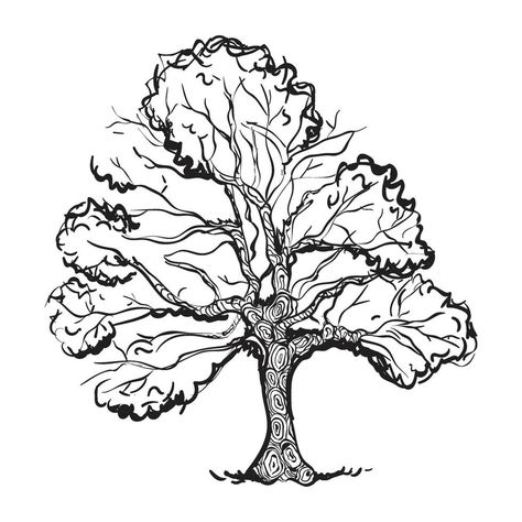 Tree Drawing Ideas, Taiga Forest, Drawing Of A Tree, Oak Tree Drawings, Acorn Tattoo, Live Oak Tree, Red Oak Tree, Tree Drawings, Oak Tree Tattoo