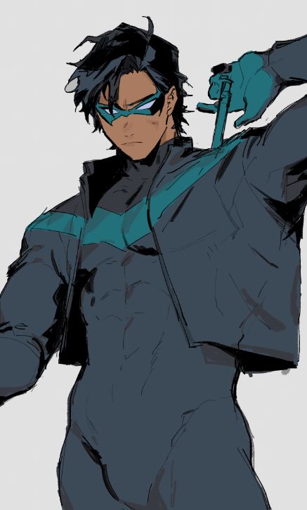 Nightwing Funny, Nightwing Art, Batman Funny, Dc Comics Artwork, Batman Family, Superhero Design, Dc Characters, Dc Comics Art, Dc Heroes