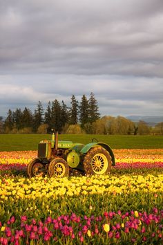 tractor n  flowers John Deere Art, Green Tractors, Antique Tractors, Old Tractors, Farm Machinery, John Deere Tractors, Old Barns, Old Farm, Country Farm