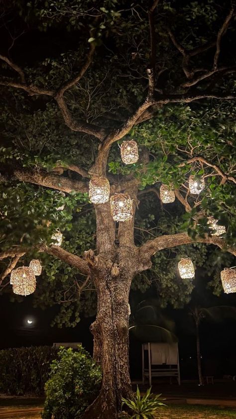 Night Picnic Ideas, Lights Hanging From Trees, Hanging Tree Lights, Night Picnic, Heart Iphone Wallpaper, Night Sky Wallpaper, Patio Garden Design, Sky Wallpaper, Picnic Ideas